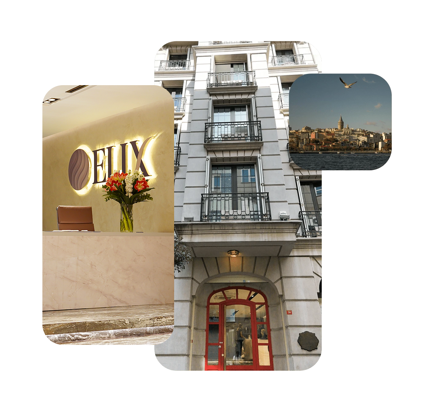 elix-about-us-gorseli